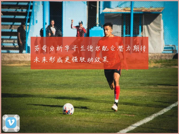 芬奇分析华子兰德尔配合潜力期待未来形成更强联动效果