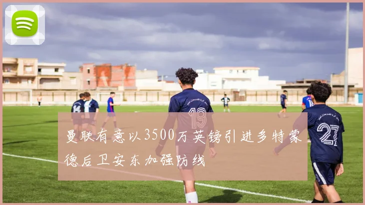 曼联有意以3500万英镑引进多特蒙德后卫安东加强防线