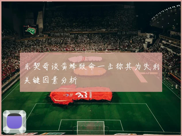 东契奇谈黄蜂致命一击称其为失利关键因素分析
